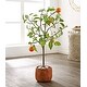 preview thumbnail 1 of 2, SAFAVIEH Faux Orange Potted Tree - 19.7" W x 15.4" L x 33.1" H