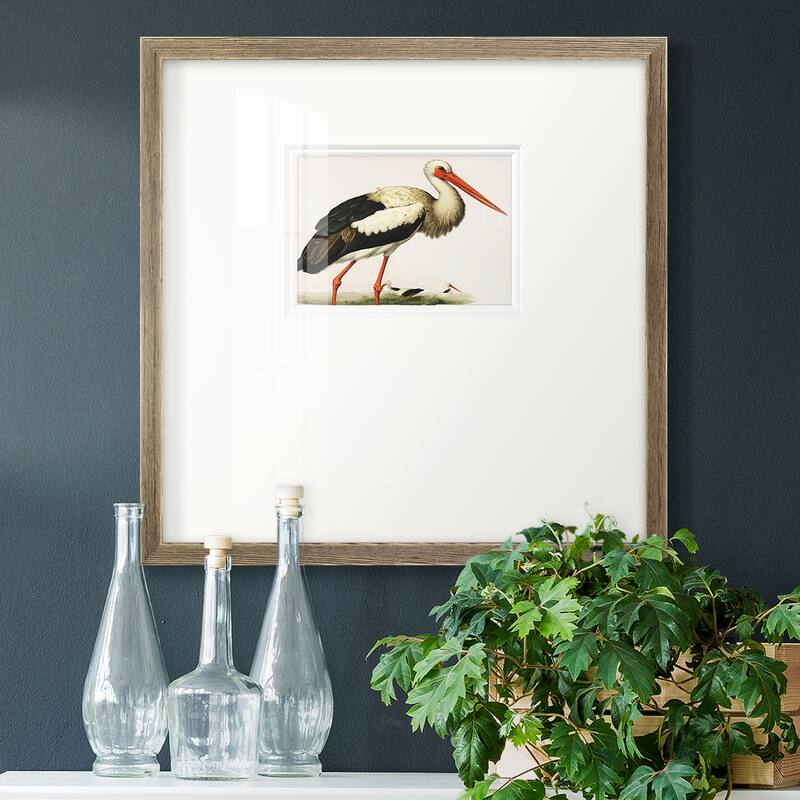 Odd CranePremium Framed Print