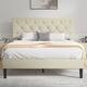 Option Beige