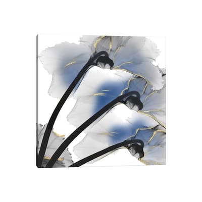iCanvas "Indigo Luster Cyclamen I" by Albert Koetsier Canvas Print