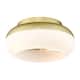 Option Antique Gold