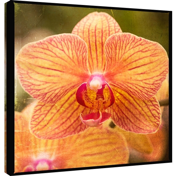 PTM Images 9-101260 PTM Canvas Collection 12" x 12" - "Gold Orchid" Giclee Orchids Art Print on Canvas