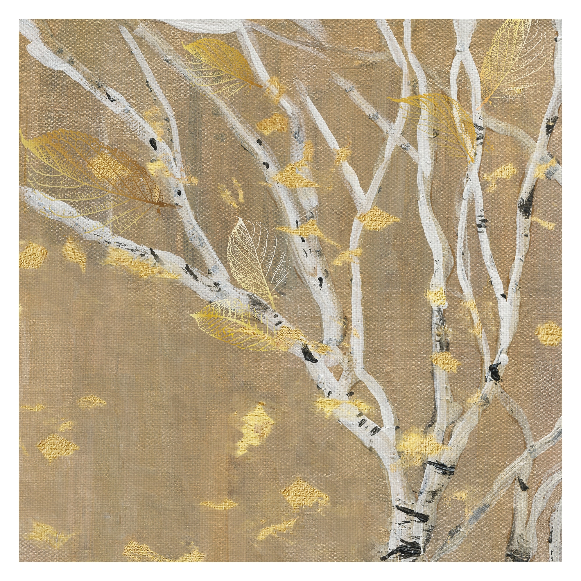 Birch Wood III by Susan Jill Canvas Art Print