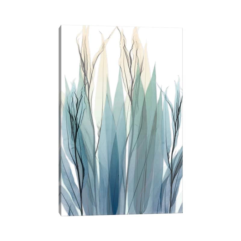 iCanvas "High Degree" by Albert Koetsier Canvas Print