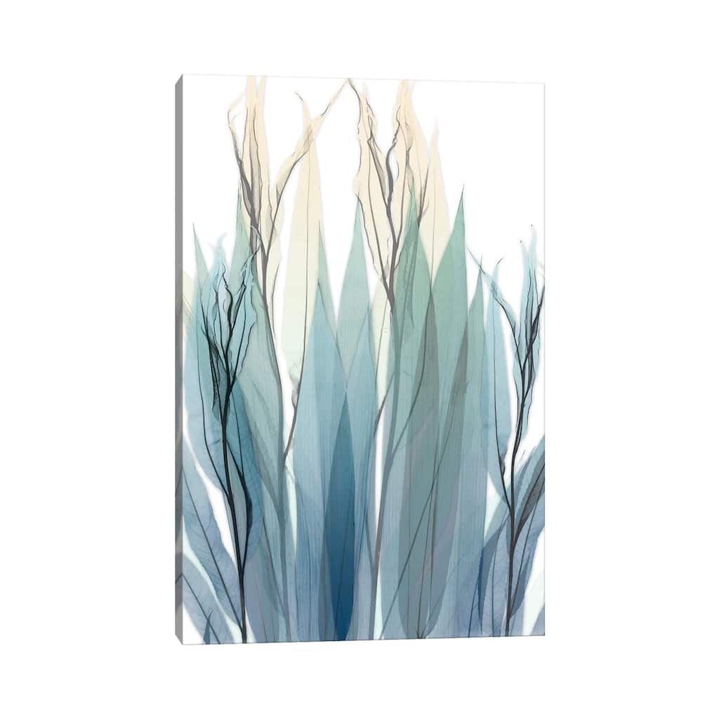 iCanvas "High Degree" by Albert Koetsier Canvas Print