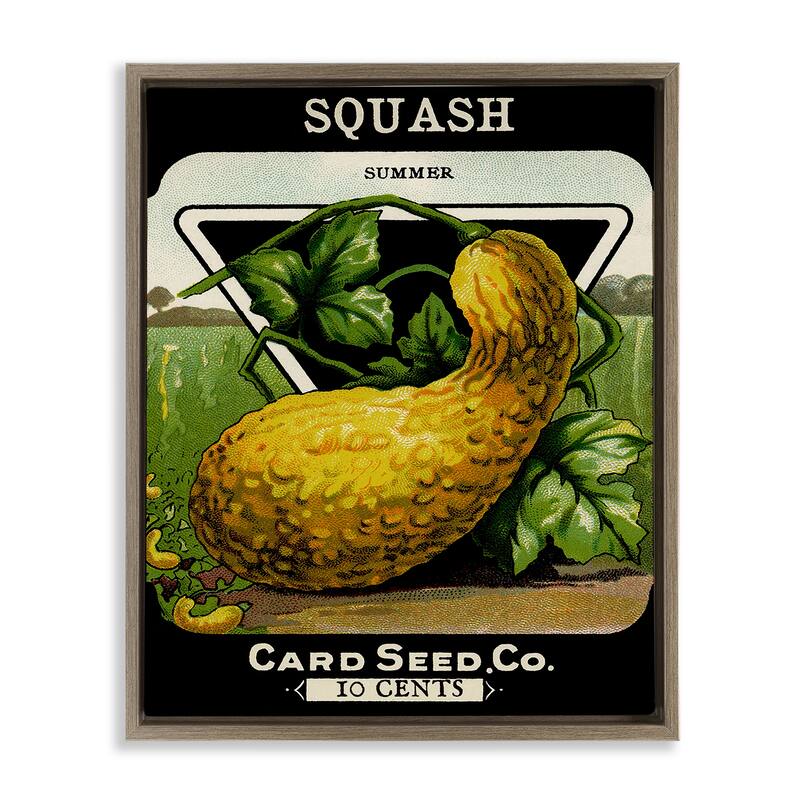 Stupell Vintage Garden Squash Framed Floater Canvas Wall Art Design By Lil' Rue - 25 x 31 - Brown