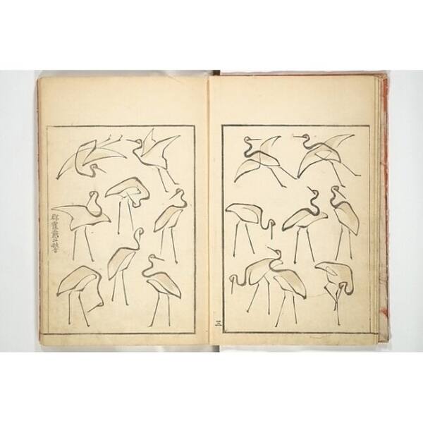 Transmitting The Spirit Revealing Form Of Things Picture Album Of