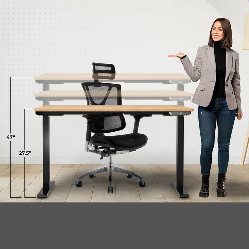 Rise Up Electric Standing Desk Dual Motor 48x30 solid bamboo desktop