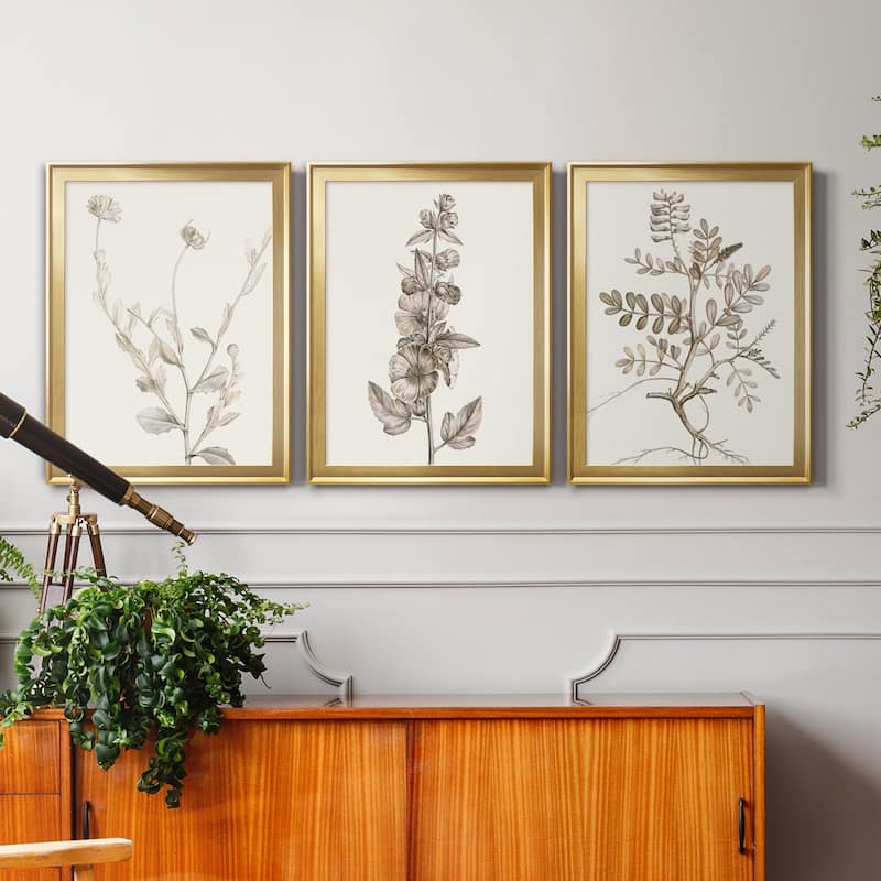 Neutral Botanical Study IV Premium Framed Canvas - Ready to Hang - Multi-Color