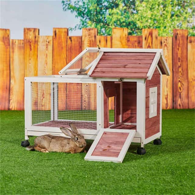 Wooden Rabbit Hutch,Bunny Cage with 4 Wheels, Auburn