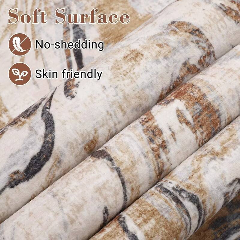 Modern Abstract Area Rug Washable Non-Slip Low Pile Rugs for Living Room Bedroom