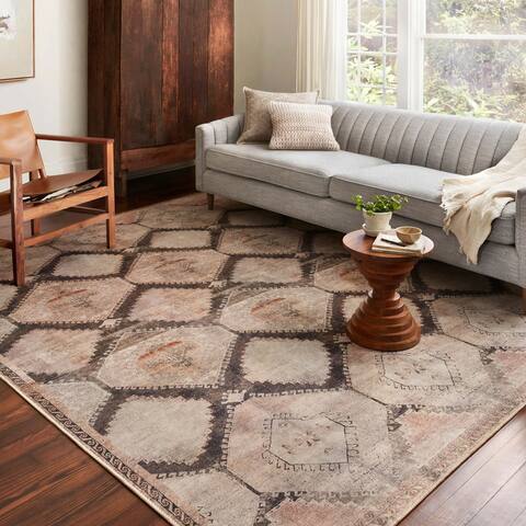 Alexander home Sophia Vintage Moroccan Area Rug