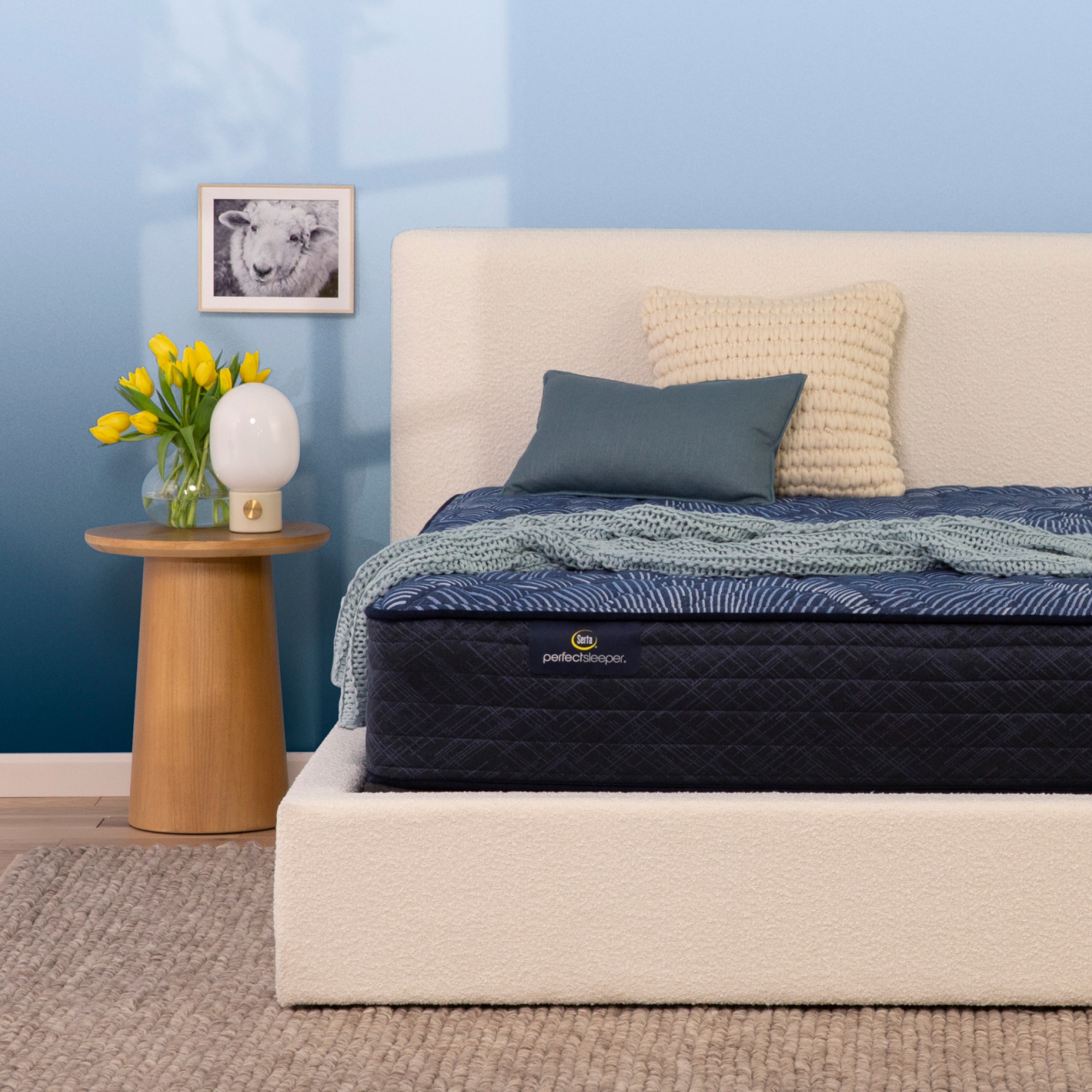 Serta perfect sleeper crib mattress cheap