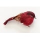 preview thumbnail 1 of 0, 3" Feathered Bird with Metal Clip, Burgundy, Set of 6 - 3