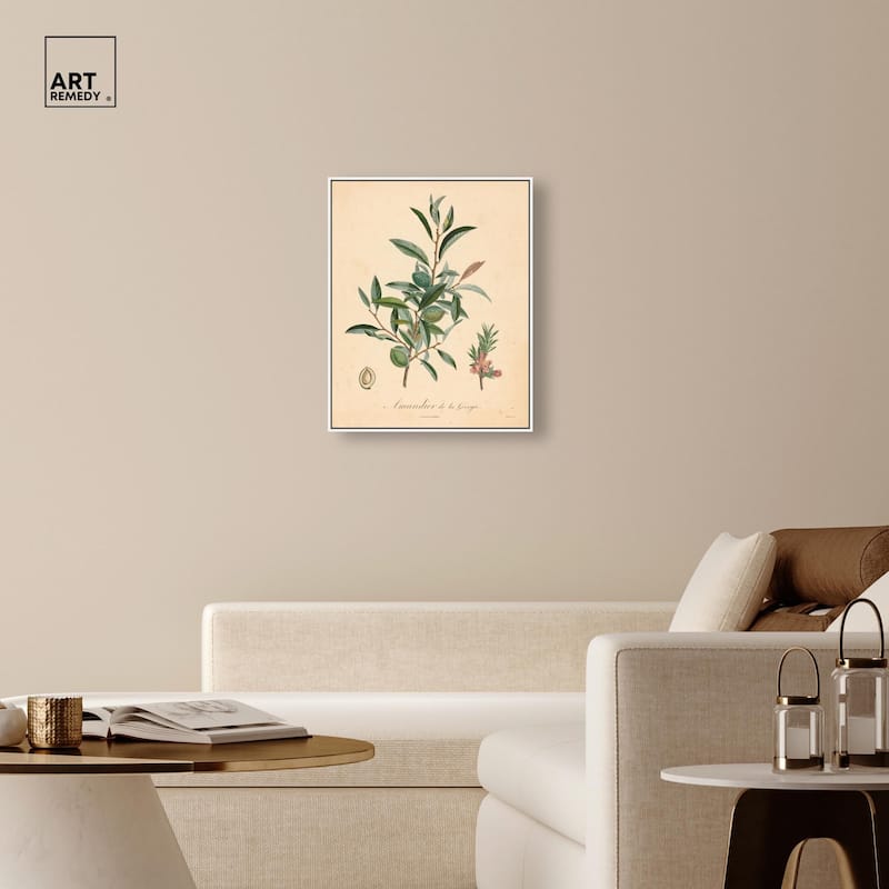 Almond of Georgia I Canvas by Art Remedy