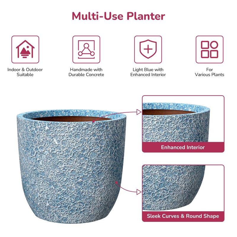 Upgraded Interior Concrete Round Planter with Drainage Holes