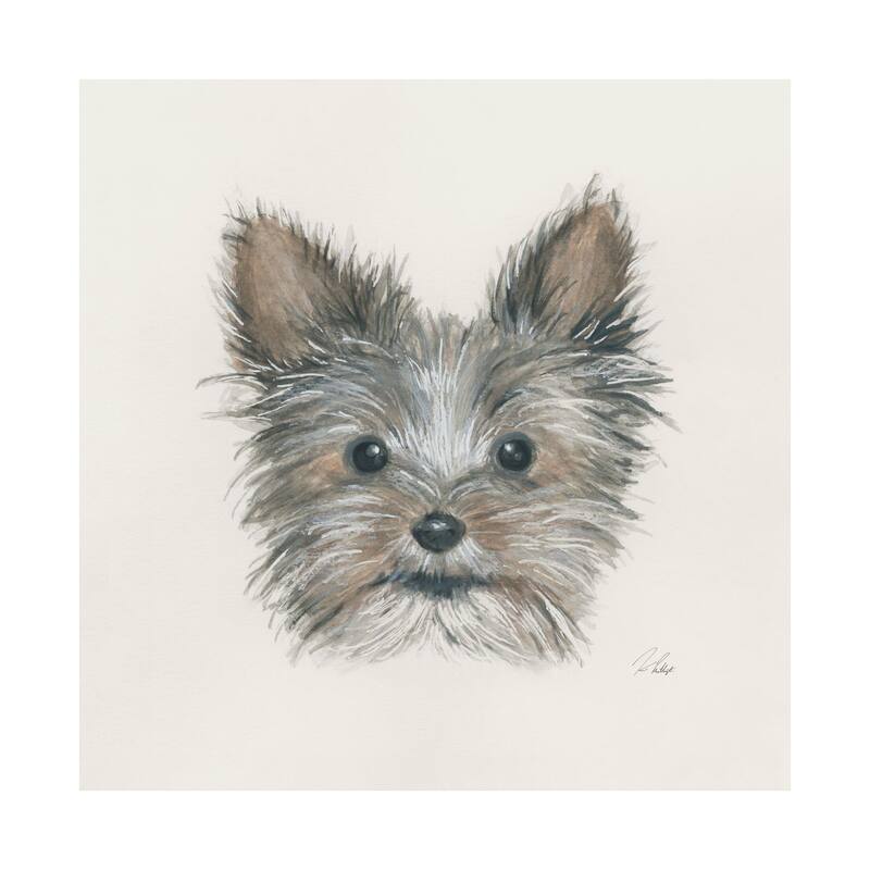 Eddie (Yorkie 1) (30 x 30) Canvas Art Print - Large