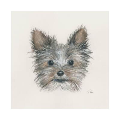 Eddie (Yorkie 1) (30 x 30) Canvas Art Print