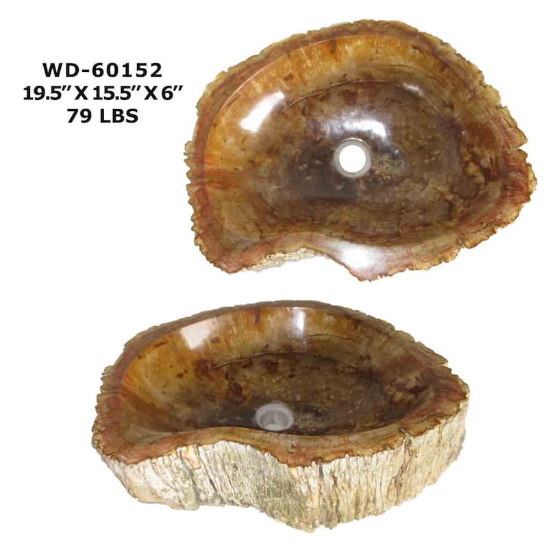 Wood Unique Handcrafted Petrified Wood Natural Stone Bathroom Vessel Sink - WD60152