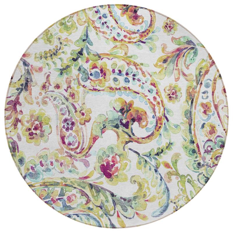 HomeRoots Paisley Transitional Rectangle Outdoor Rug