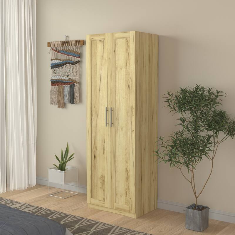 High wardrobe and kitchen cabinet with 2 doors and 3 partitions