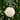 Berries Christmas Ball Ornament - 4.75" - White