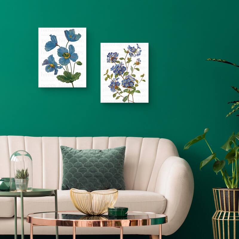 Himalayan Blue Poppy & Chinese Plumbago Text Canvas Art Prints