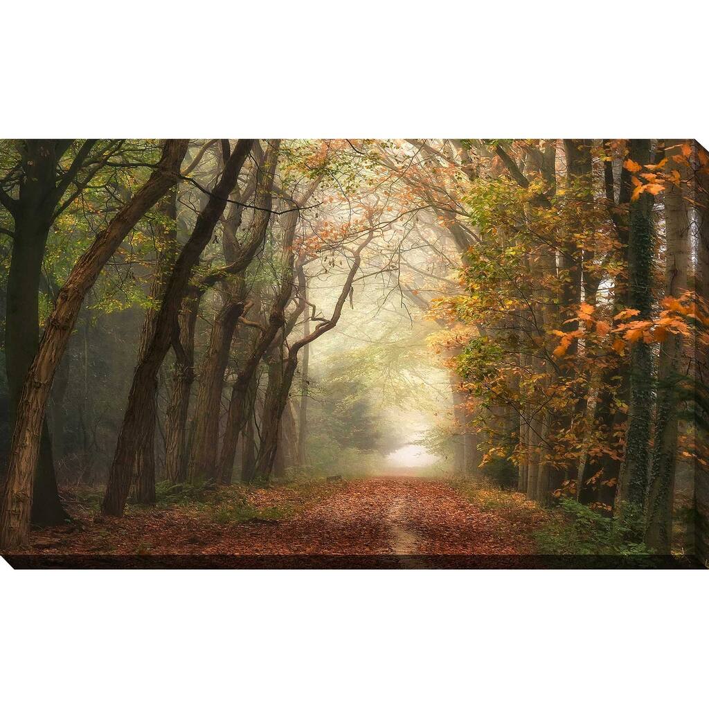 "Path of Dreams " by Lars Van de Goor Print on Canvas