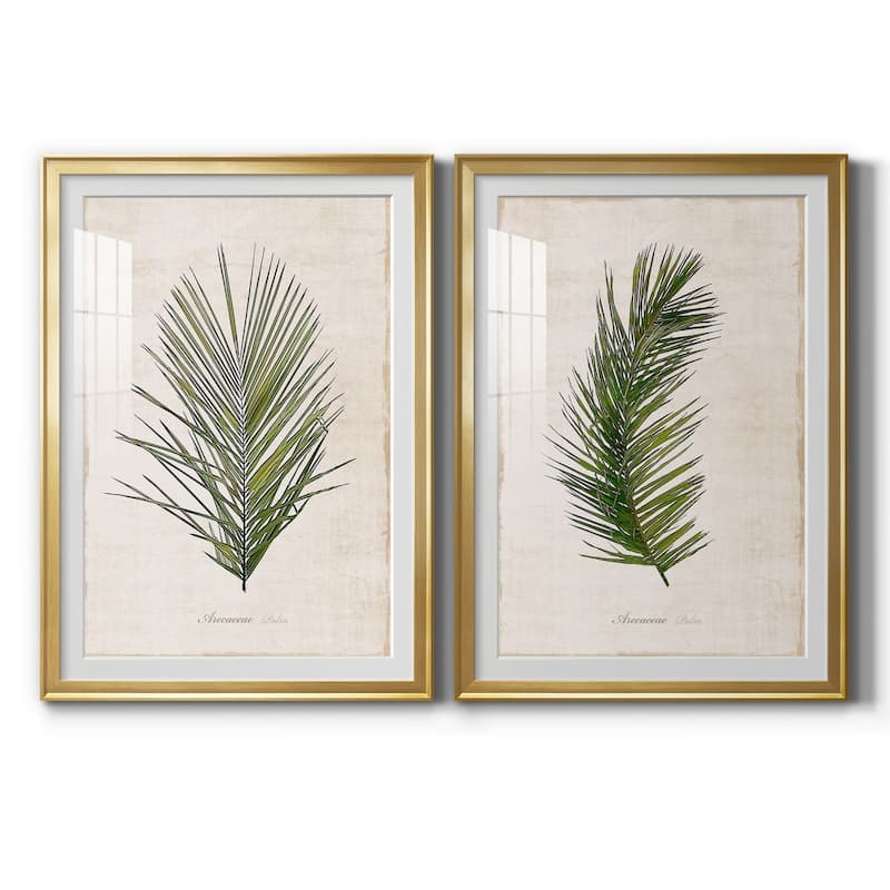 Palm Botanical I Premium Framed Print - Ready to Hang - 22.5X30.5 - Gold