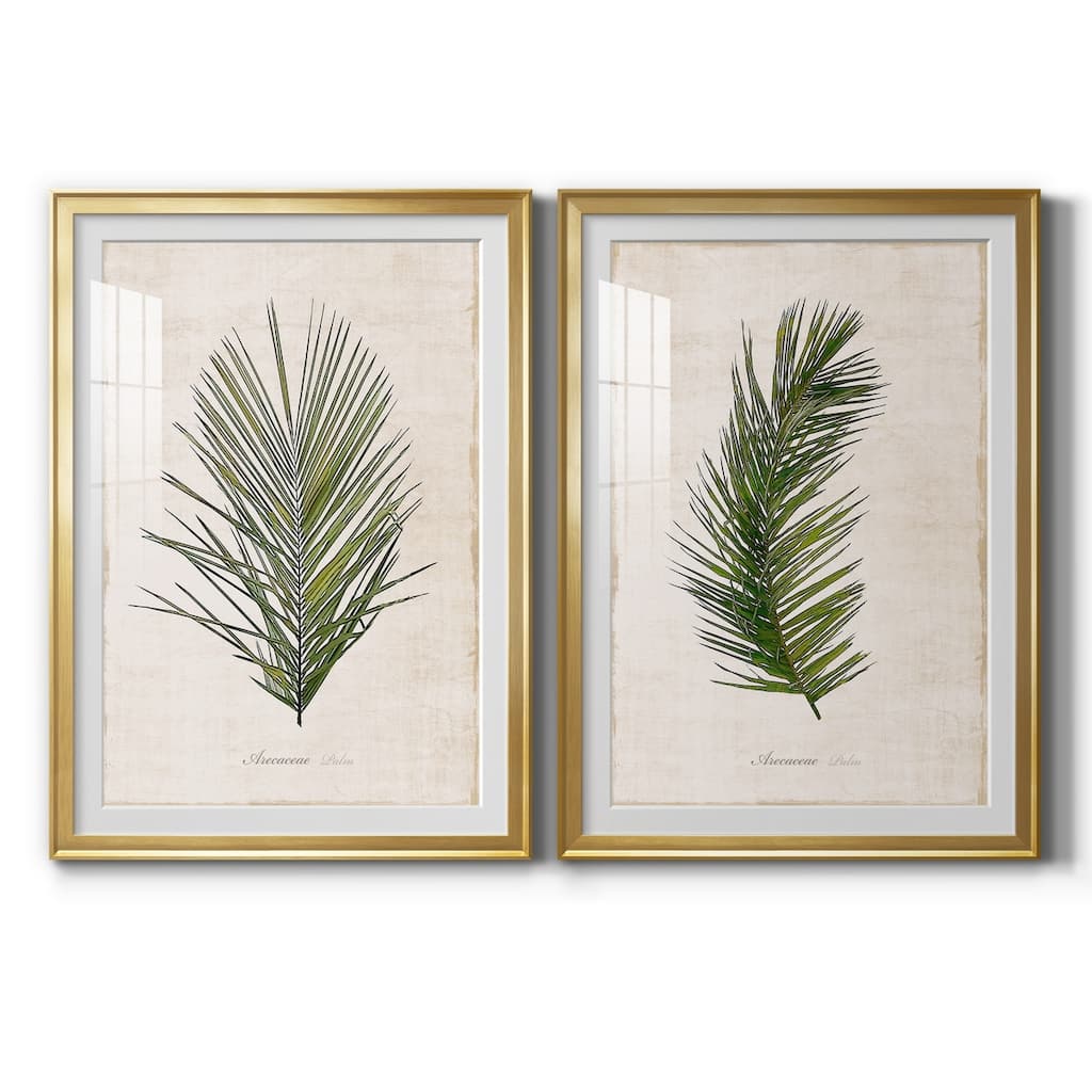 Palm Botanical I Premium Framed Print - Ready to Hang