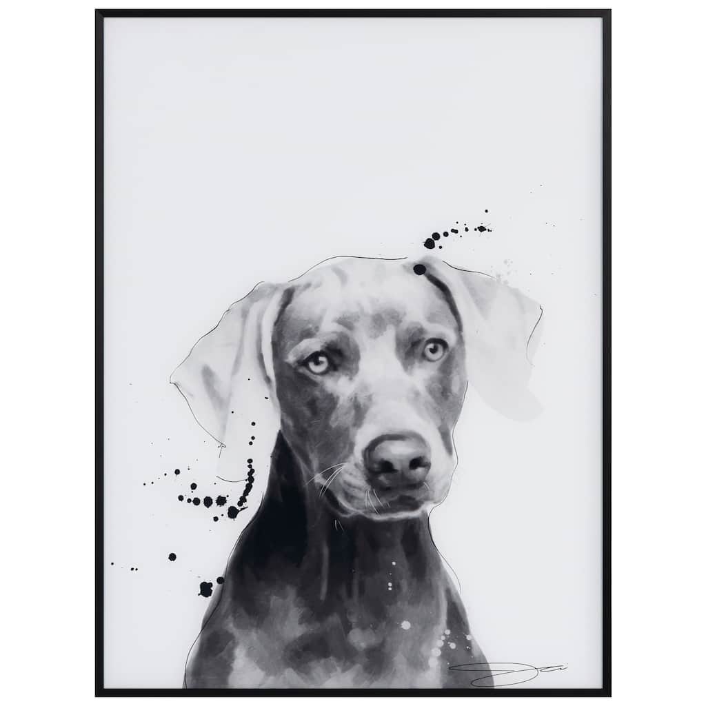 "Weimaraner" Black and White Pet Paintings on Printed Glass Encased with a Black Anodized Frame