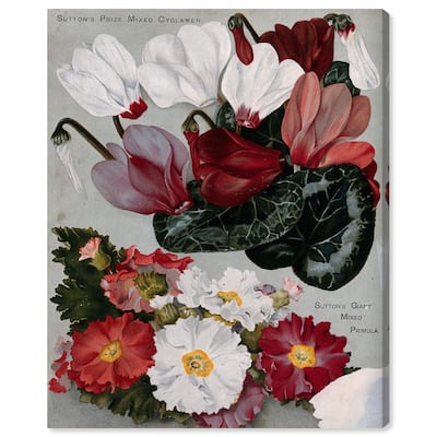 Cyclamens Canvas by Art Remedy, Gallery Wrapped