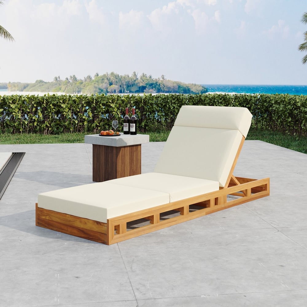 Outdoor Patio Chaise Lounge Chairs Adjustable Backrest Lounge Chairs with Water-repellent Cushions for Poolside Balcony Garden