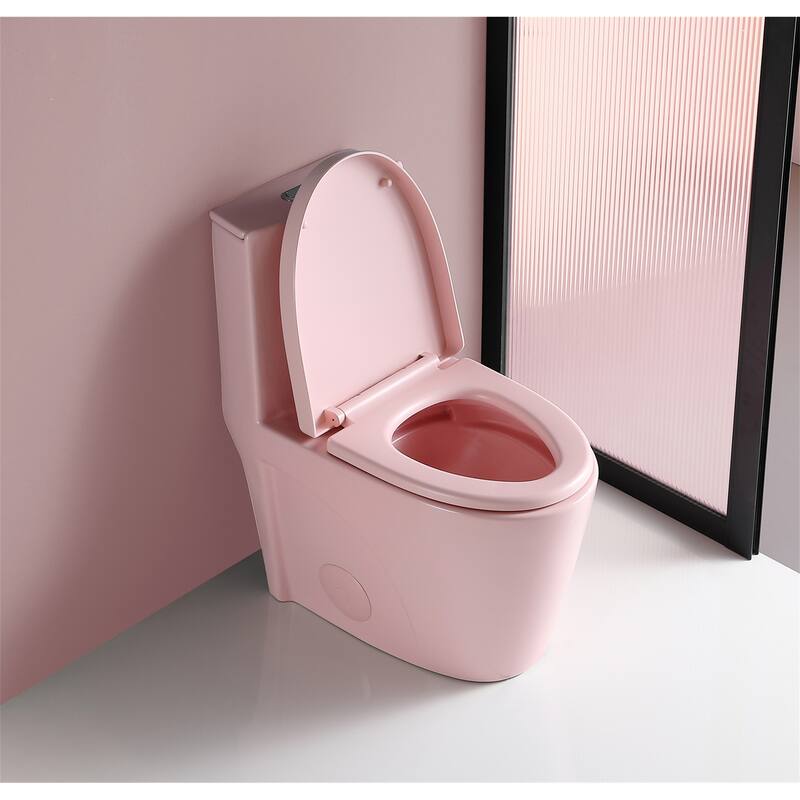 One Piece Dual-Flush Toilet