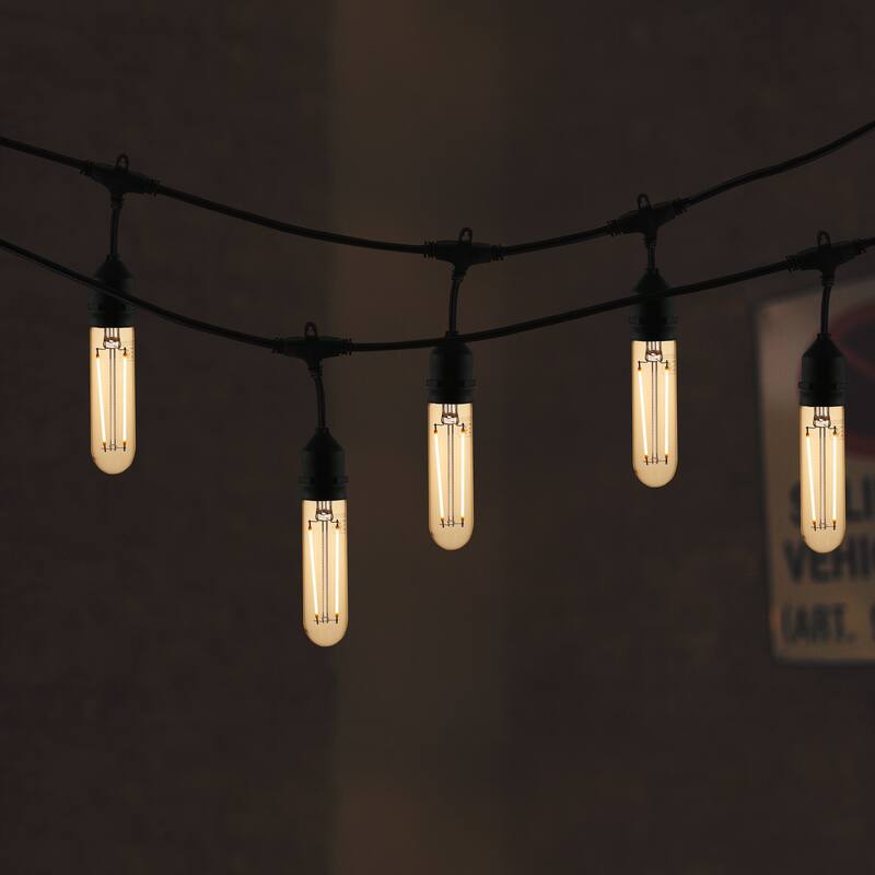 Light Society Set of 6 Sovana T10 / 4.9" Clear LED Filament Light Bulbs