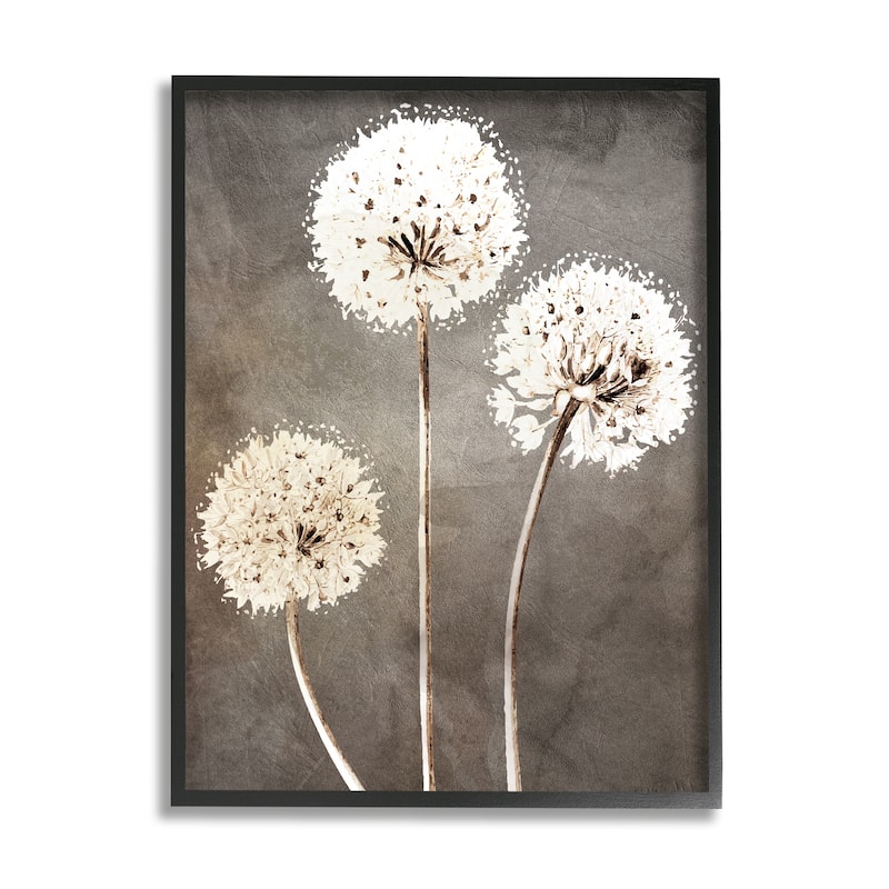 Stupell Fluffy Dandelion Plants Wildflower Botanical Blooms Framed Wall Art, Design by Kim Allen - Brown