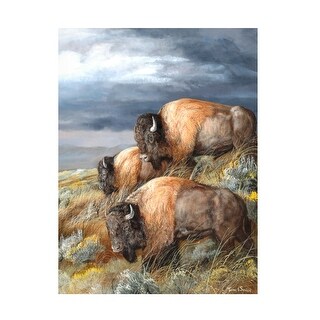Trevor V Swanson #39 Distant Thunder #39 Canvas Art Bed Bath Beyond