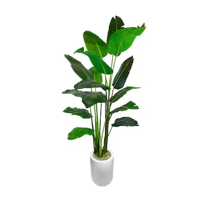 5.5 ft Bird of Paradise Tree in a Round Fiberstone Container - Green