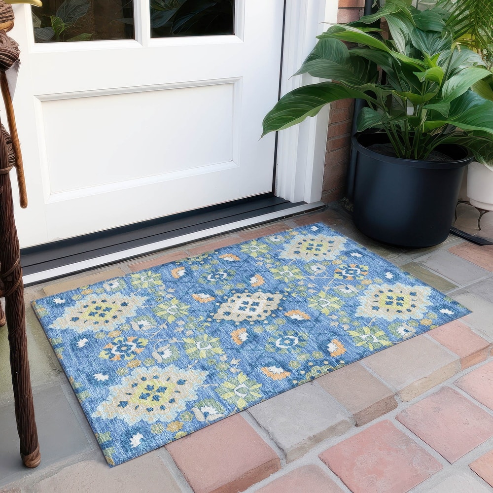 Machine Washable Indoor/ Outdoor Boho Traditional Chantille Rug