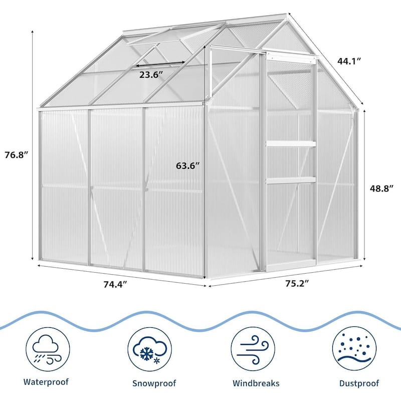 6 x 6 FT Winter Polycarbonate Greenhouse for Outdoors Gardening, Silver