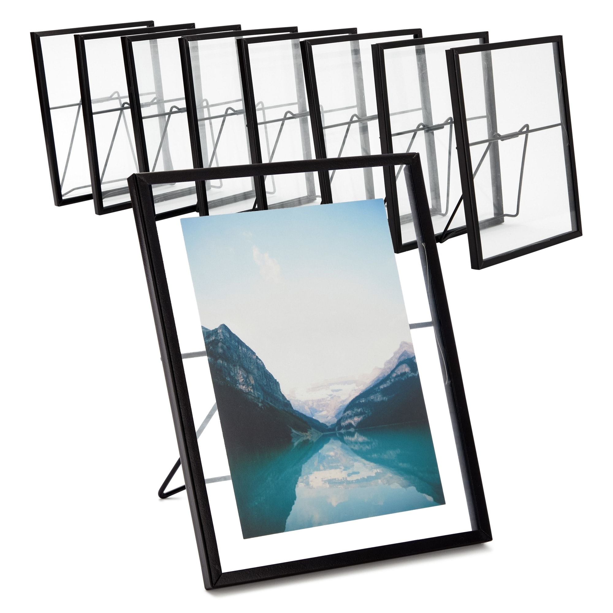 8 Pack Black Glass Frame for Pressed Flowers, 5 x 7 Inch Photos, Floating  Picture Frames (6.9 x 8.9 In) - Bed Bath & Beyond - 36002259