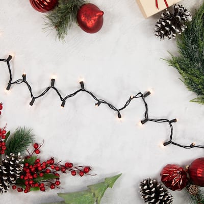 Mini Incandescent Christmas Lights - Clear - 20.25' Black Wire - 100ct
