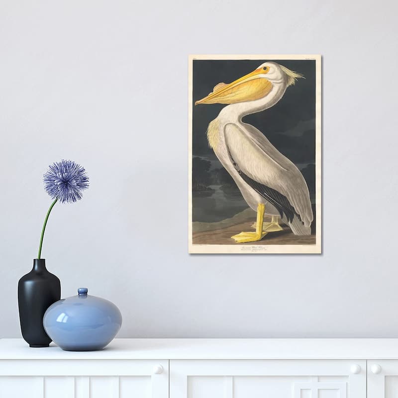 iCanvas "American White Pelican" by John James Audubon Canvas Print - 18x12x1.5