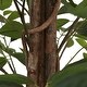 preview thumbnail 6 of 8, vidaXL Artificial Lemon Tree with 3 Trunks Green 3.5"/47.2"/70.9" PP