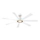Option Matte White with Brushed Satin Brass Accents