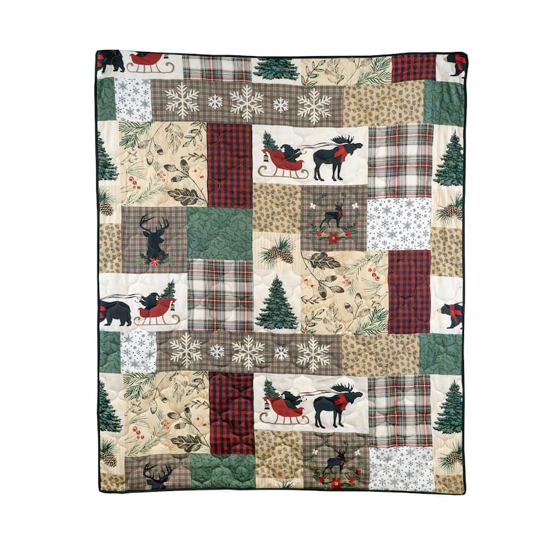 Your Lifestyle by Donna Sharp Dashing Throw - Green/Beige - Throw