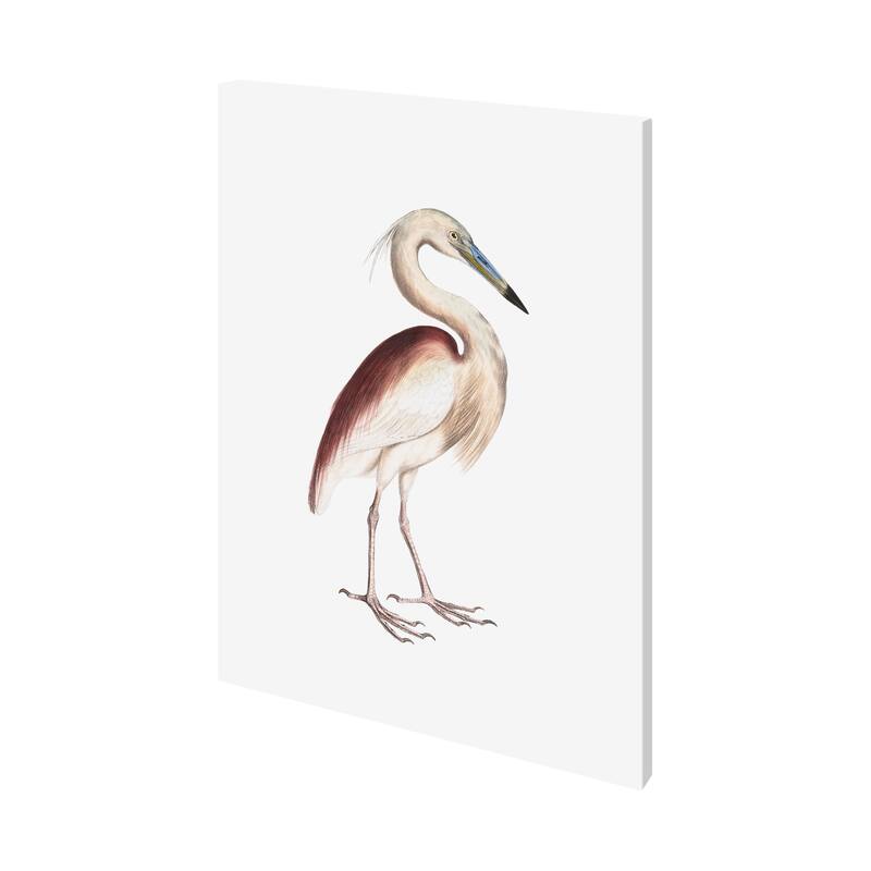 Marone Backed Heron (36 x 48) Canvas Art Print - Large