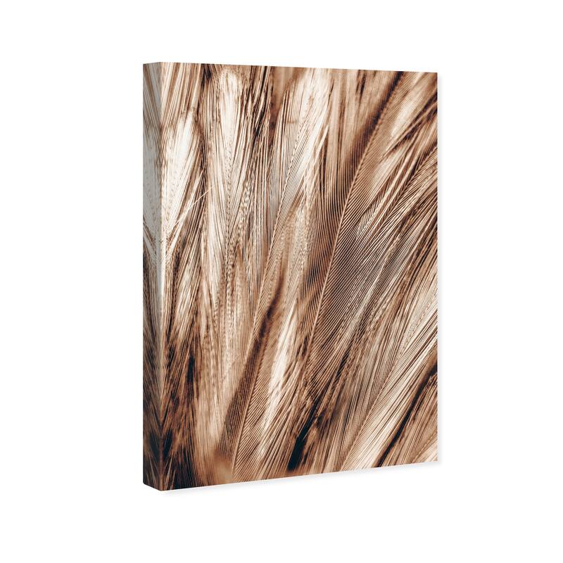 Wynwood Studio Canvas Animals Copper Brown Feather Gold and Modern & Contemporary Wall Art Canvas Print