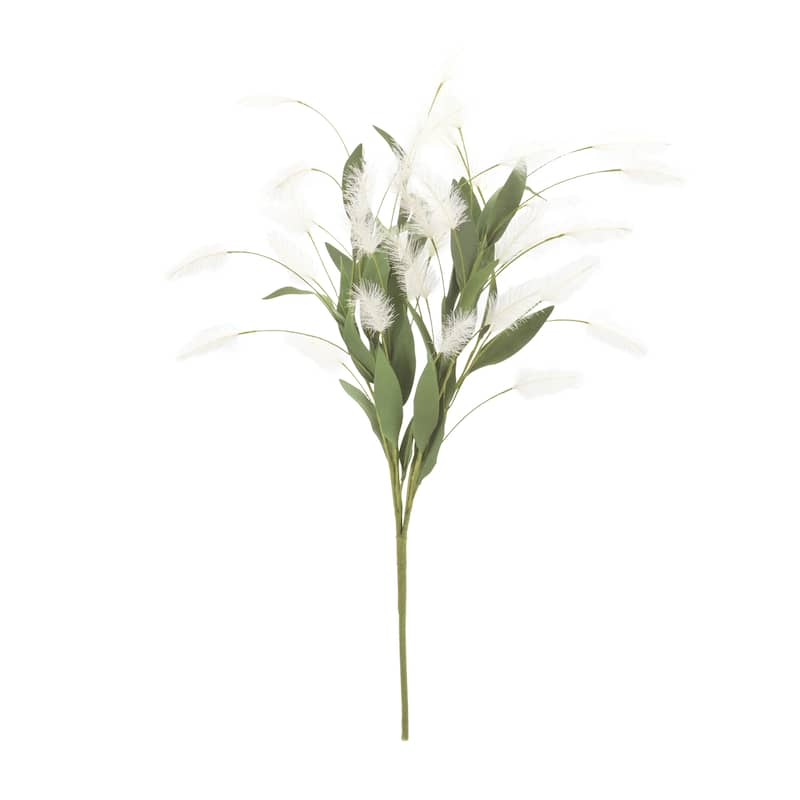 White Plume Bush (Set of 2)