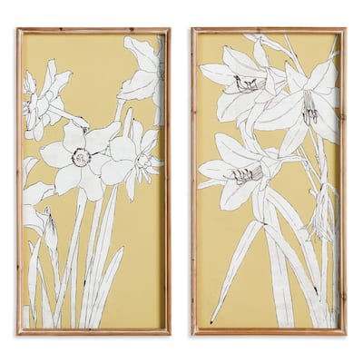 Flowering Amaryllis Prints